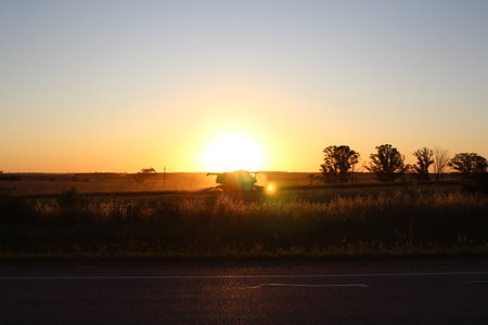 Sunset over the fieldの写真素材