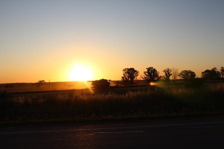 A harvester working at sunset, collecting crops in a golden field under the warm light of the evening sky.の写真素材