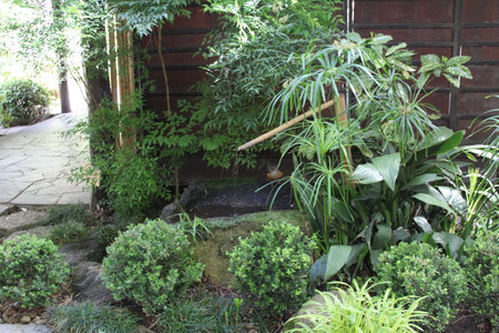 Outdoor garden with plants and water in front of the house.の写真素材