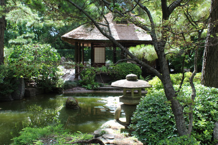Japanese garden with a pond and a pavilion in the background.の写真素材