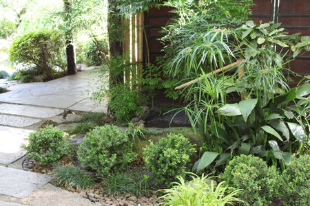 Beautiful landscaping in the garden, landscape design and landscapingの写真素材