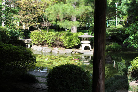 Japanese garden with pond and stone lanterns in the city park.の写真素材