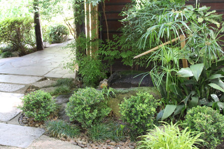 garden stone path in the garden with green plants and trees.の写真素材
