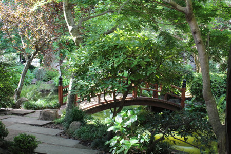 Wooden bridge in the garden with a tree in the background.の写真素材