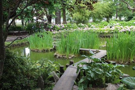 Beautiful flower garden in japanese style with pond and bridgeの写真素材