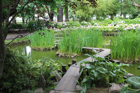 pond in the garden at hongkong,chinaの写真素材
