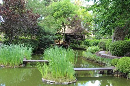 Beautiful Japanese garden with pond and wooden bench in the park.の写真素材