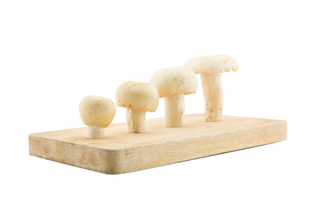 Concept Arrange of mushroom on wood cutting boardの写真素材