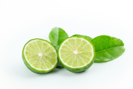 Lime on whiteの写真素材