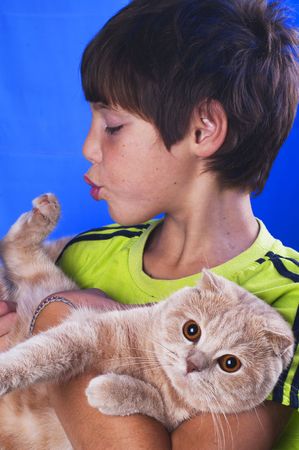 The white boy holds a cat on a dark blue background の写真素材