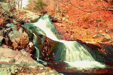 A small waterfall in the woods with a pool at the base. It is more than likely a seasonal stream that dries up in the summertime.の写真素材