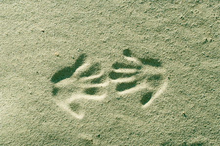 The press of two hands on sand