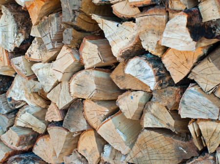 Several cords of wood ready to be used in the winter for fire wood in a wood burning stove.