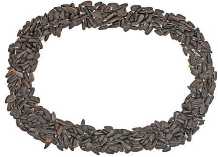 oval frame of black sunflower seed on white backgroundの写真素材
