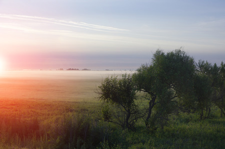 landscape with tree dramatic sky fog and beautiful autumn colorsの写真素材
