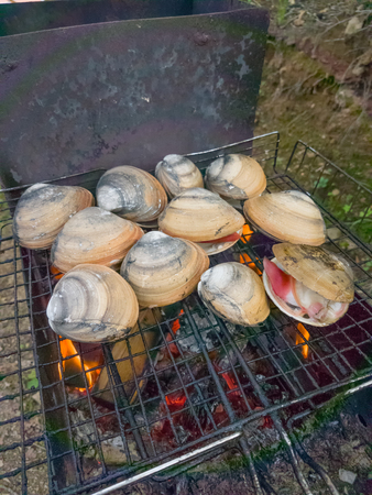 Sea shells Spisula sachalinensis are cooked on fire barbecueの写真素材