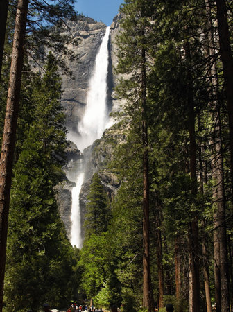 Yosemite Falls, upper & lower from belowの写真素材