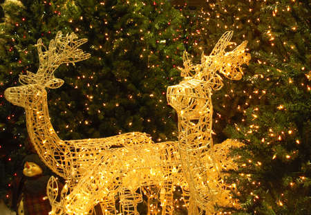 Family of lighted reindeer (yard decoration, Christmas)の写真素材