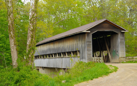 Old covered bridge in the woods in spring