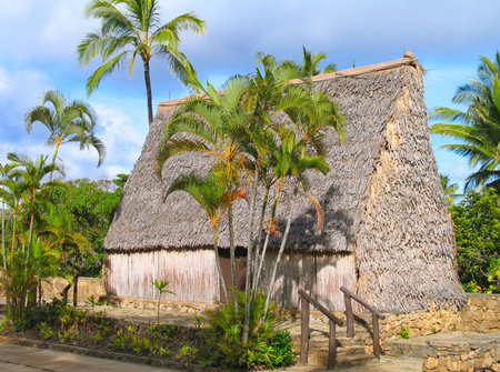 Traditional South Pacific island hut, indigenous to the Marquesasの写真素材