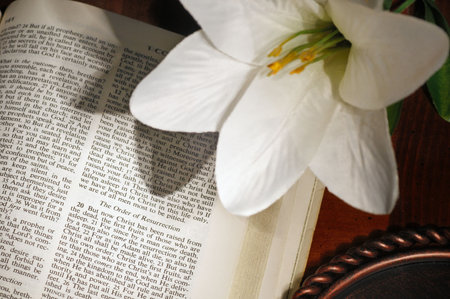 Page from Bible (I Corinthians 15) highlighting the resurrection, with Easter lilyの写真素材