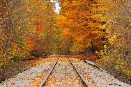 An stretch of old railroad track running through a brilliant autumn woodの写真素材