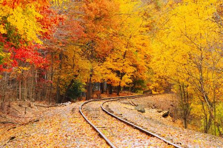 An old railroad track (still in use) runs through a brilliantly colored autumn woodsの写真素材
