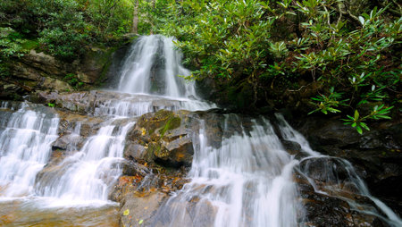 View of Laurel Falls in Great Smoky Mountains National Park framed by rhododendron leaves