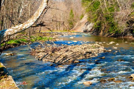 A picturesque stream babbles over rocks in late afternoon spring sunlight