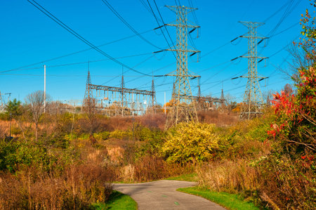 High tension power lines stretch above a walkway in a nature park