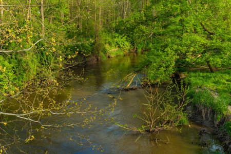Tinkers Creek flowing through a Twinsburg Ohio parkland in springの写真素材