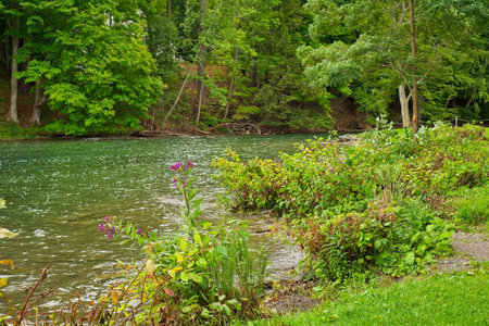 The Susquehanna River at Cooperstown NY a few steps past its start, flowing out of Otsego Lake