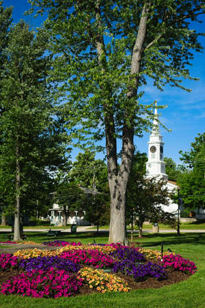 Algae pattern on pondの写真素材