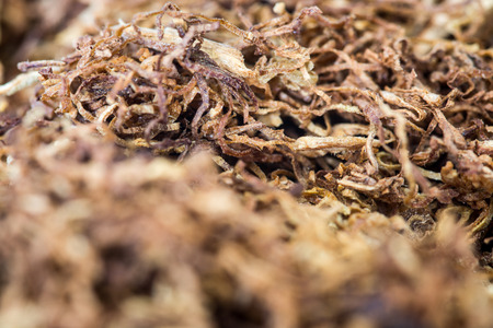 Rolling tobacco macroの写真素材