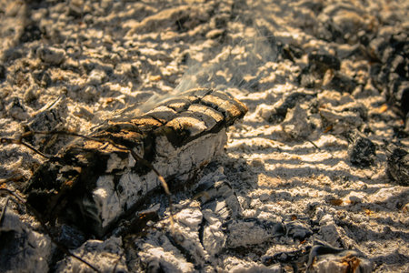Wooden trunk blowing smoke surrounded by ashes under the shadows of a barbecue grill at sunset