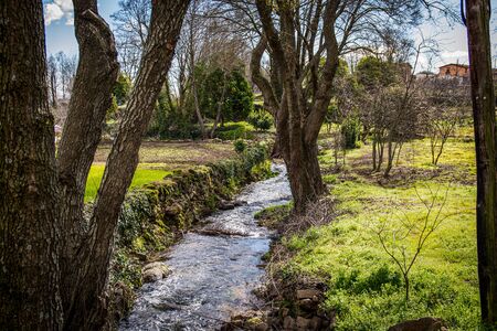 Nice river in the forestの写真素材