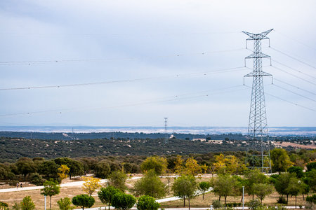 Electric tower surrounded by trees in a field with a cloudy sky in the background