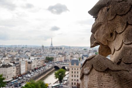 Paris, France; 11/07/2014: Detail of a gargoyle on the Notre Dame cathedral in Paris, France.のeditorial素材