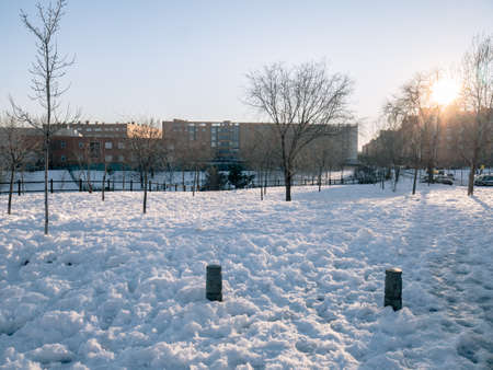 Park completely snowed during the Filomena without letting see the roads and sidewalks of the city while the sun illuminates with its last rays at sunsetの写真素材