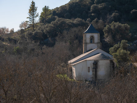 Nuestra SeÃ±ora de la AsunciÃ³n, parish church of San Juan de Paluezas, located at the top of the town and surrounded by large trees allowing a glimpse between the branches of deciduの写真素材