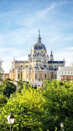 Almudena Cathedral of Madrid, neoclassical style seen on a spring day among the trees of the Vistillas Gardenの写真素材