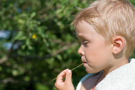 Little boy holding a blade of grass in his mouthの写真素材