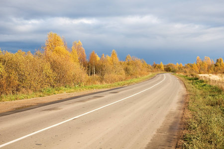 Dirt paved road in the Russian north  Autumn forest 