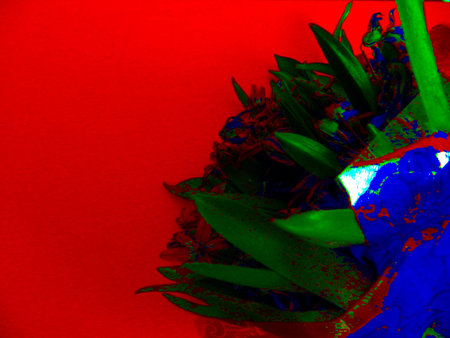 Small delicate flowers of snowdrops in a small bouquet the first flowers of spring and heatの写真素材