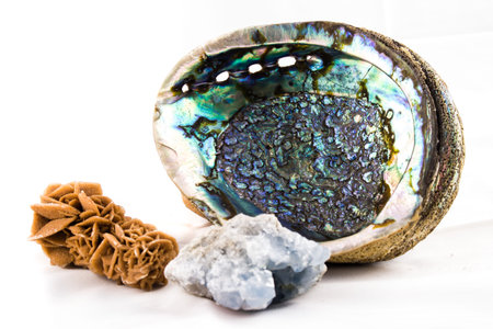 A mineral composition formed by a mother of pearl shell, a desert rose and to quartzの写真素材