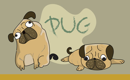 cute funny crazy pug dogのイラスト素材