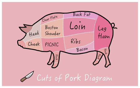 butcher cut main cuts of porkのイラスト素材