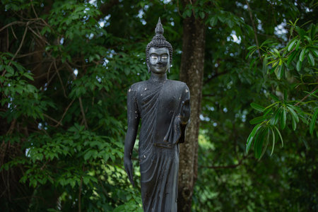 Black stucco buddhaの写真素材