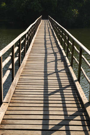 wood bridge into the forestの写真素材