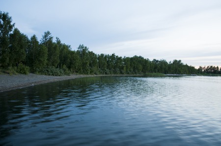 Beautiful lake shore with treesの写真素材
